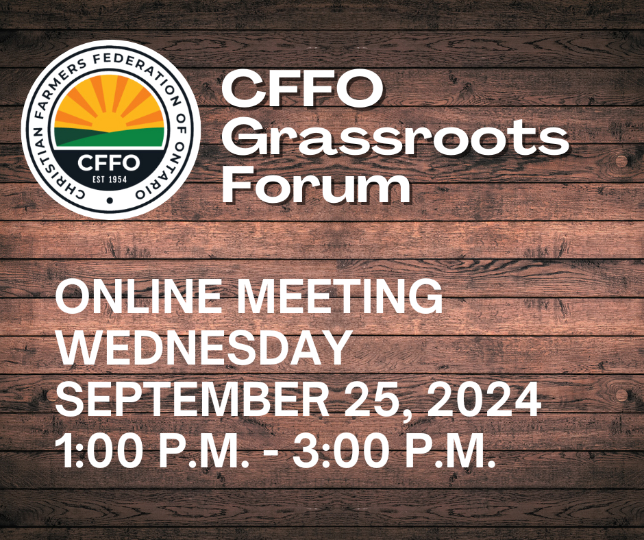 CFFO Grassroots Forum 